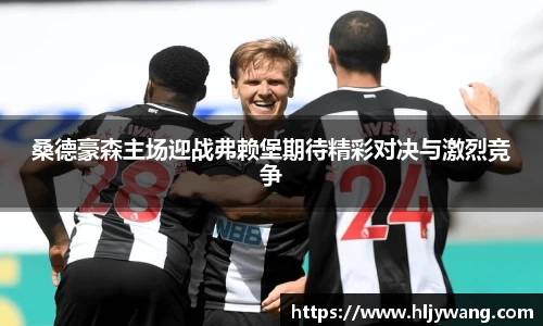 桑德豪森主场迎战弗赖堡期待精彩对决与激烈竞争